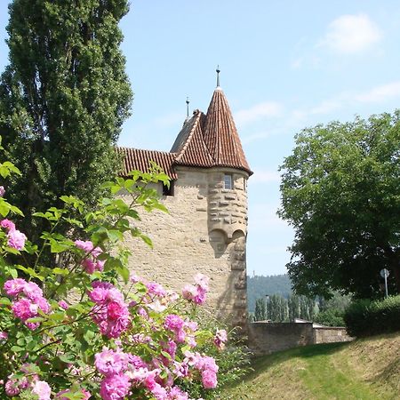 Weingut Gaestehaus Weigand Iphofen Exteriér fotografie