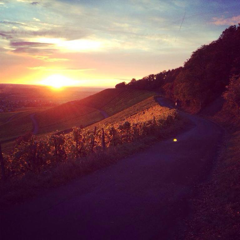 Weingut Gaestehaus Weigand Iphofen Exteriér fotografie